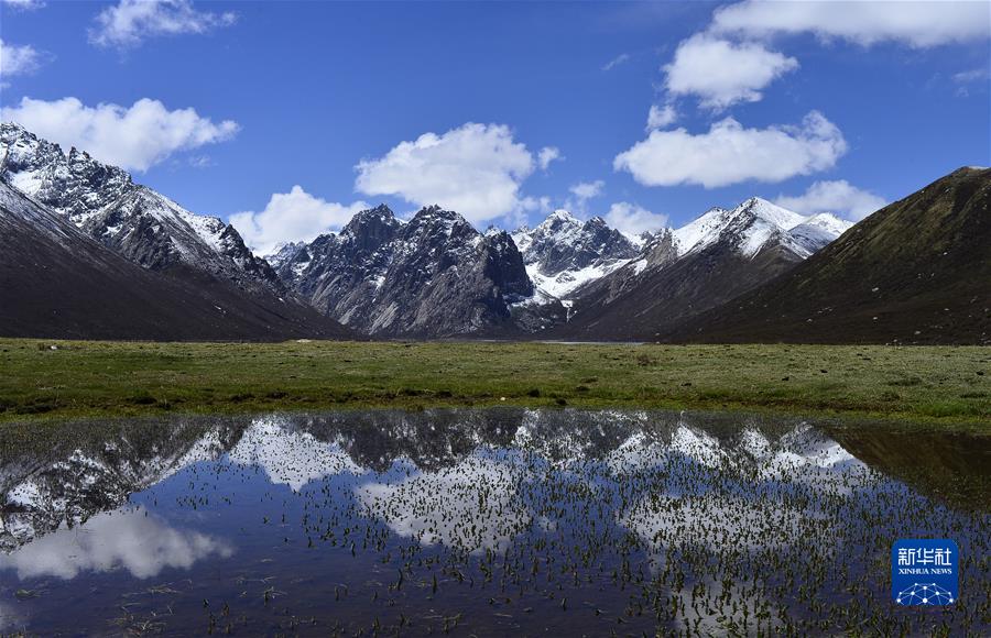 （新華全媒頭條·聚焦生物多樣性大會·圖文互動）（7）攜手同行，開啟人類高質量發(fā)展新征程——習近平主席在《生物多樣性公約》第十五次締約方大會領導人峰會上的主旨講話解讀